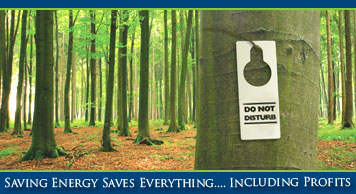 Saving Energy Saves Everything...Including Profits